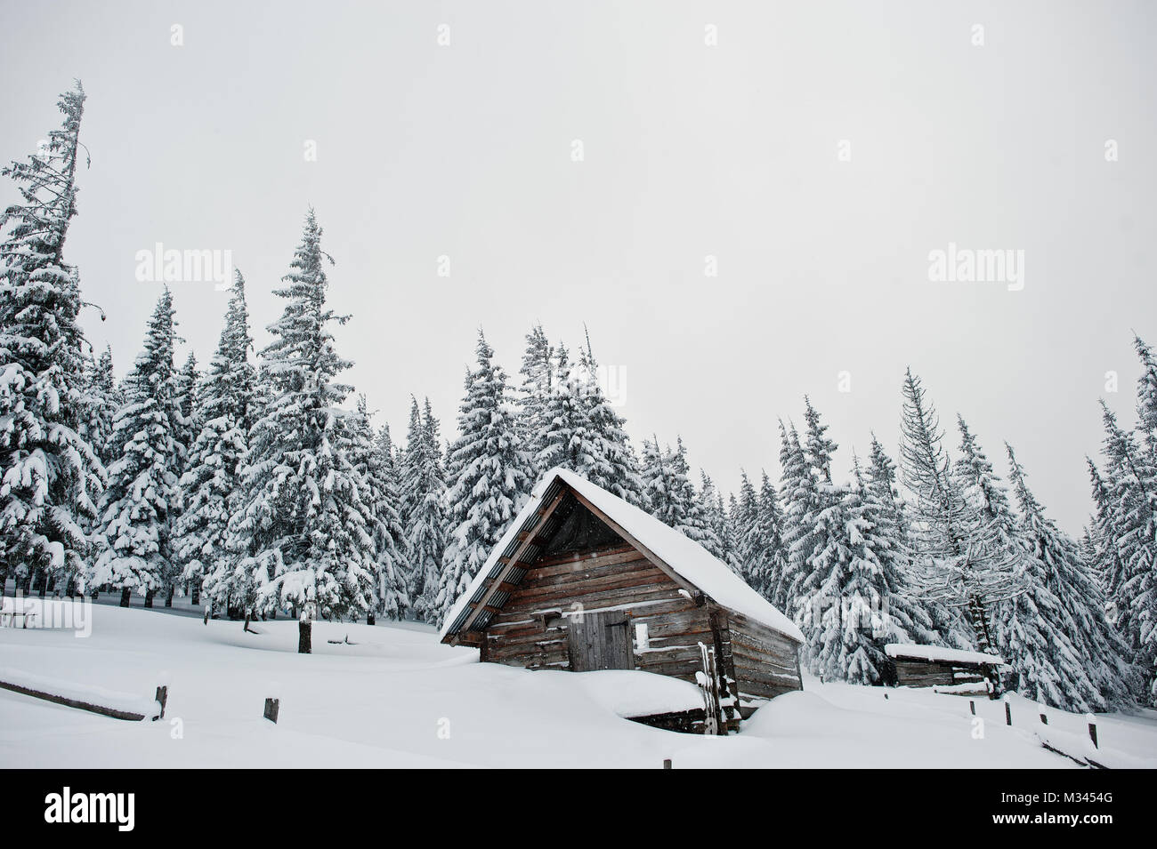 Wooden house at pine trees covered by snow on mountain Chomiak ...