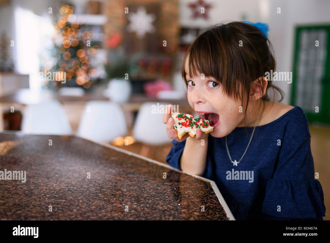 Girl eating a Christmas cookie Stock Photo