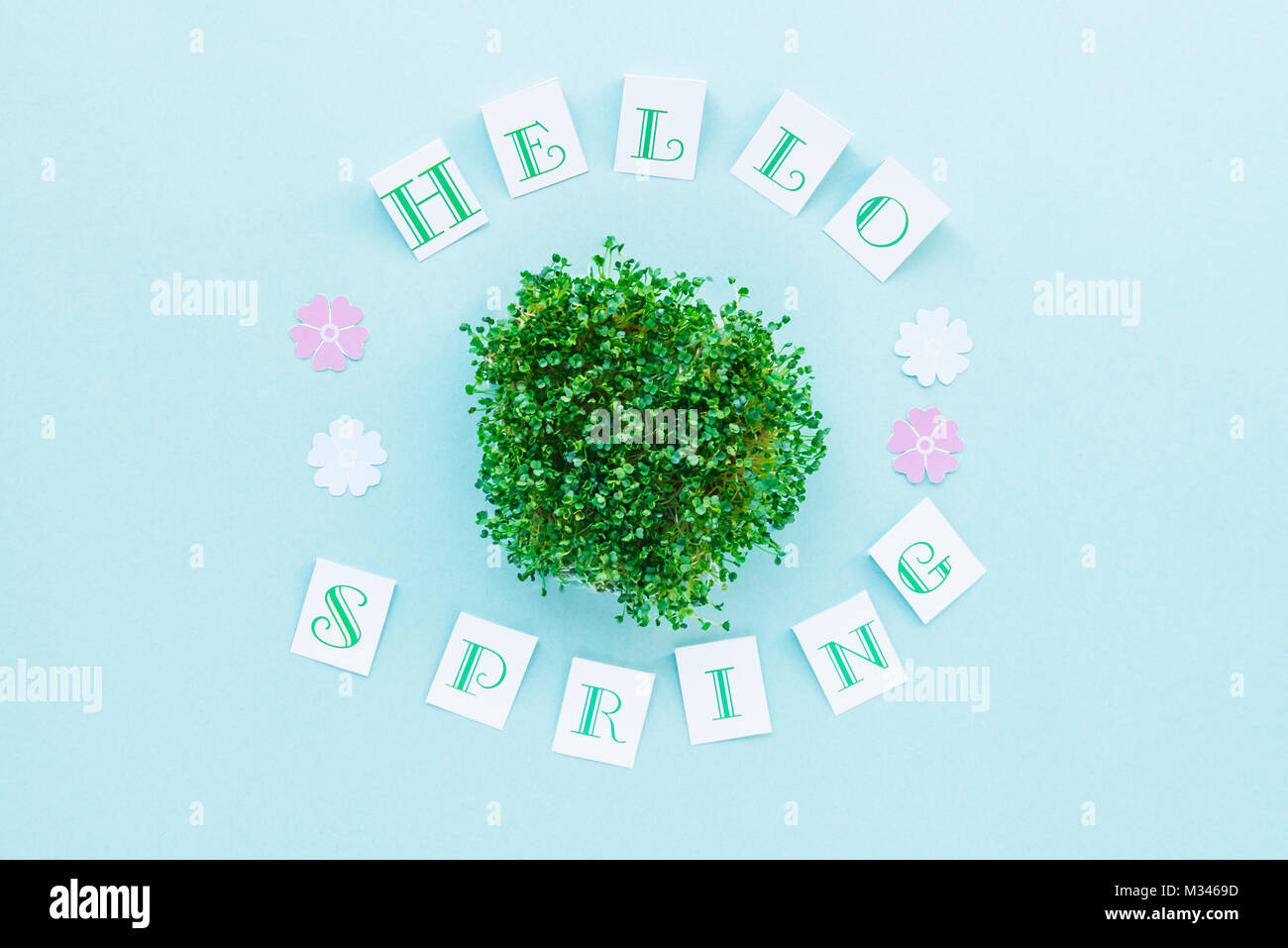 Top view composition of Hello spring calligraphy and fresh green ...