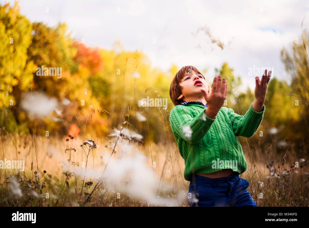 Boy standing in a field throwing milkweed flowers in the air Stock Photo