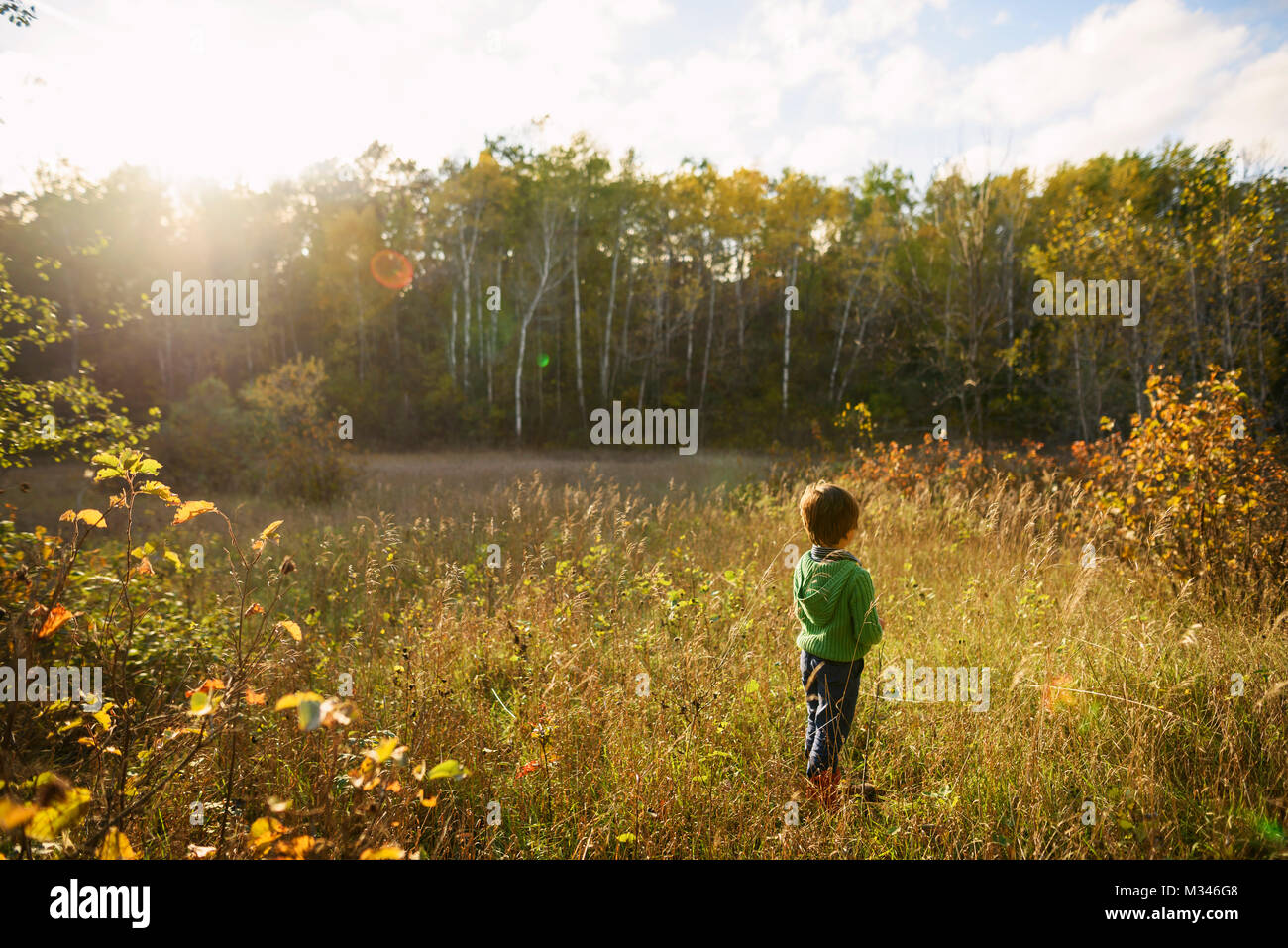 Boy standing in a field Stock Photo - Alamy