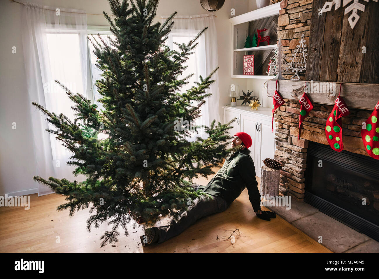 Man setting up a Christmas tree Stock Photo