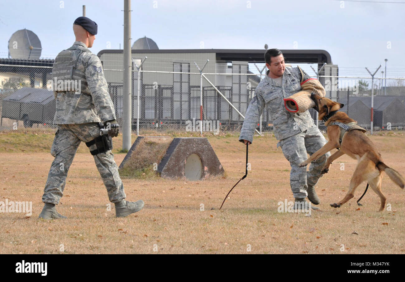 U.S. Air Force Tech. Sgt. Benjamin Collins, 35th Security Forces
