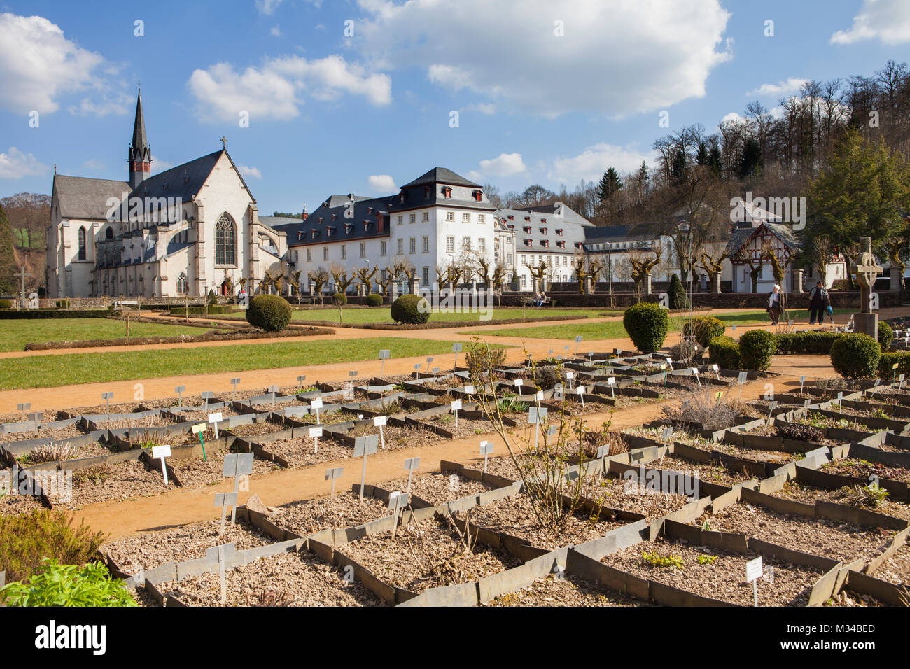 Medicinal plants, Cistercian monastery of Marienstatt Abbey, Streithausen, Rhineland-Palatinate, Germany, Europe Stock Photo