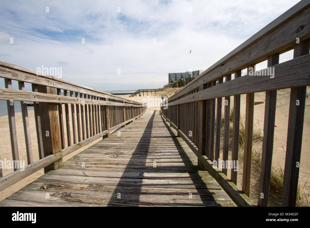 NORFOLK, Va. Nearly seven miles of beach along the Willoughby Spit