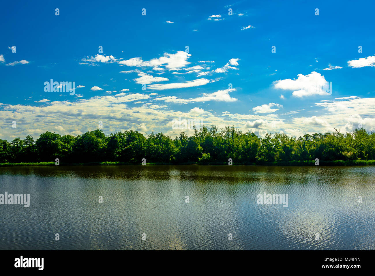 Wide angle lake landscape with trees, forest and clouds in the ...