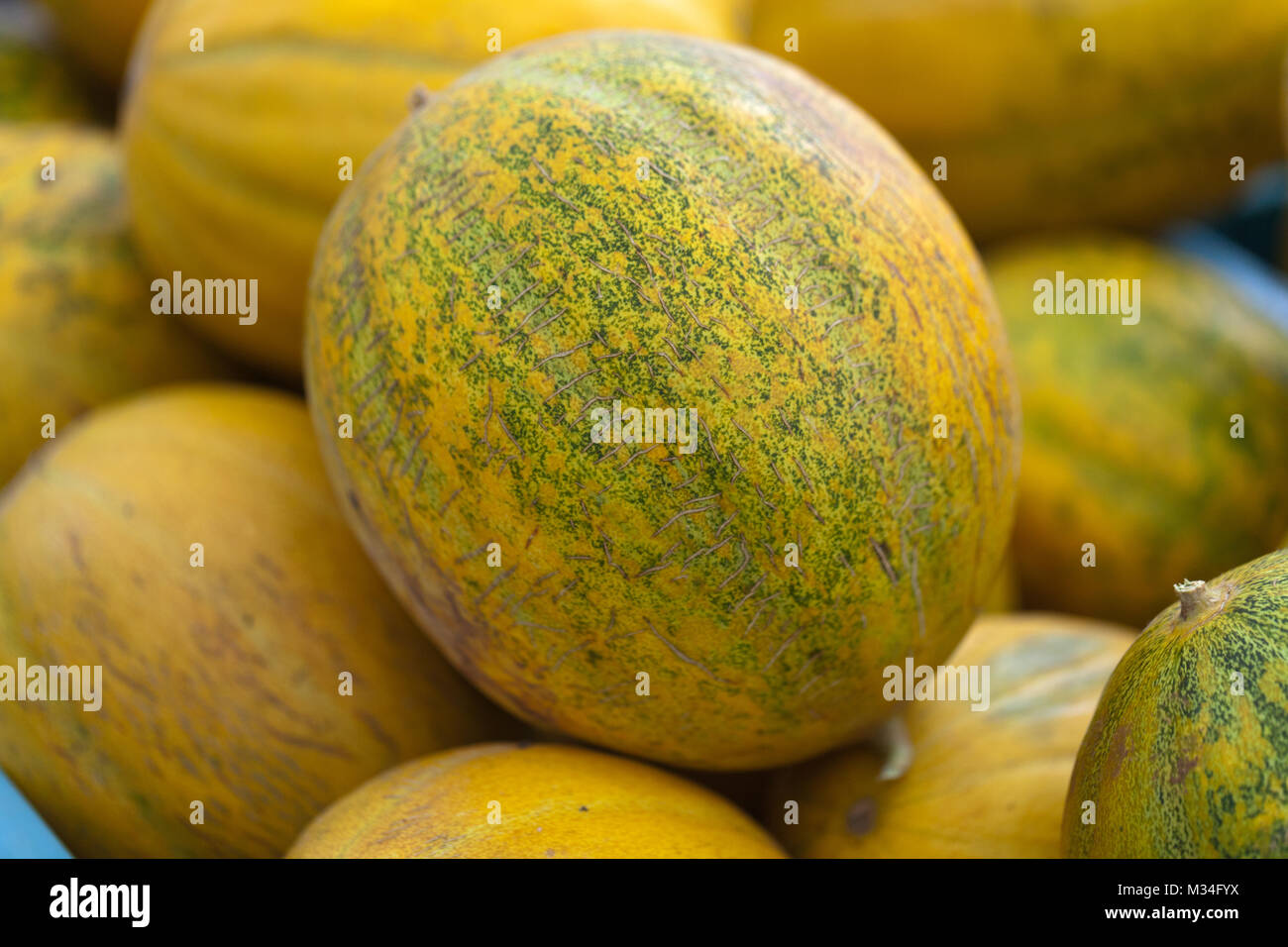 Ripe melons at farmers market Stock Photo - Alamy