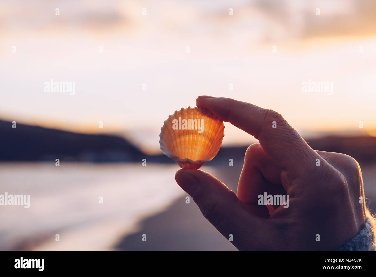 Close up of a hand holding a shell on the beach at sunset - winter season - story telling sequence. Stock Photo