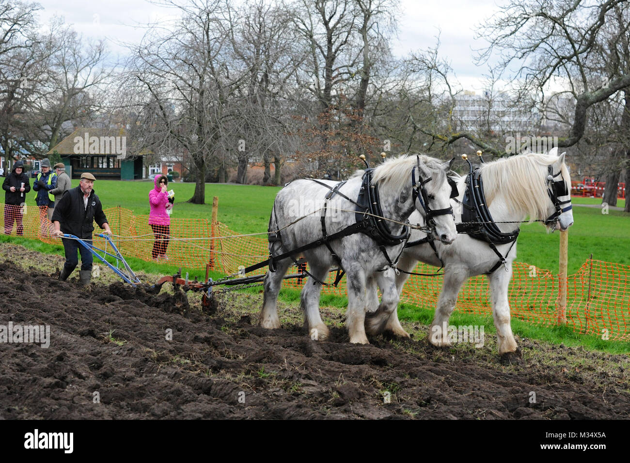 Ruskin Park, London. 9th Feb, 2018. Irish champion ploughman Tom Nixon ploughing the heritage wheat growing area in Ruskin Park using shire horses.     Credit: Michael Preston/Alamy Live News Stock Photo