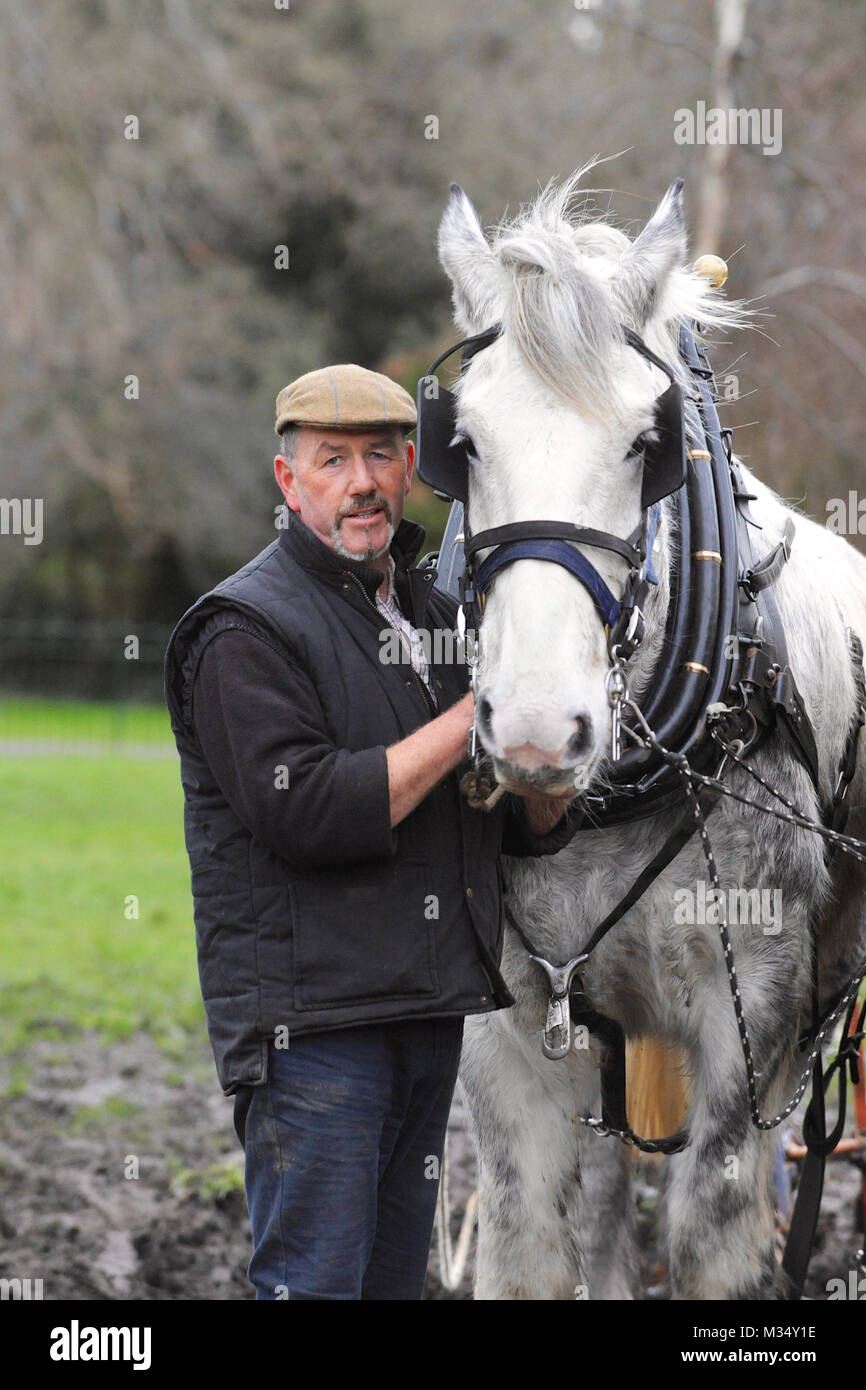 Ruskin Park, London. 9th Feb, 2018. Irish champion ploughman Tom Nixon holding Nobby a Shire horse while ploughing the heritage wheat growing area in Ruskin Park, Denmark Hill, London, United Kingdom.   Credit: Michael Preston/Alamy Live News Stock Photo