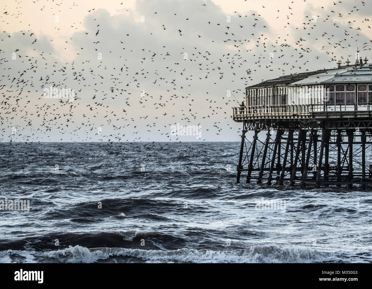 Blackpool, UK. 9th Feb, 2018. UK Weather:  A lone fisherman casts from the end of a pier as starlings fly in to roost. Credit: Russell Millner/Alamy Live News Stock Photo