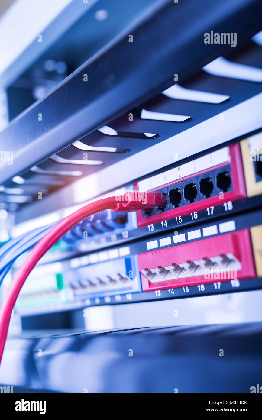 Cables Connected to Internet Switch. Stock Photo