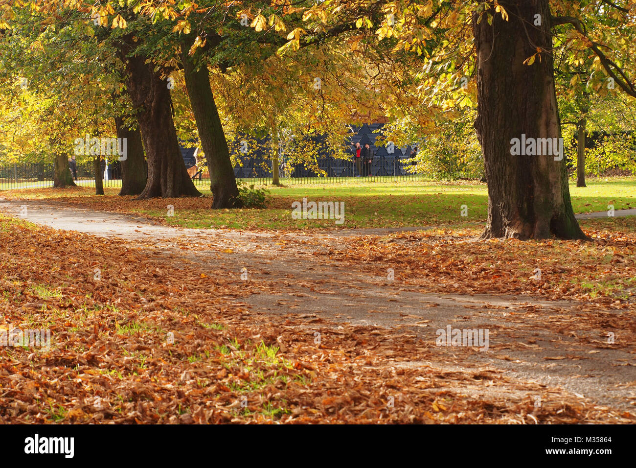 People enjoying walking in the autumn sunshine in Hyde Park, London Stock Photo