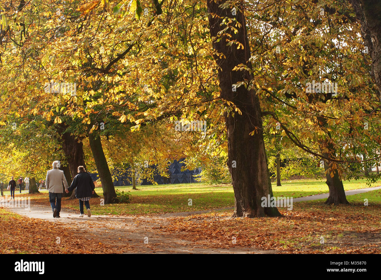 People enjoying walking in the autumn sunshine in Hyde Park, London Stock Photo
