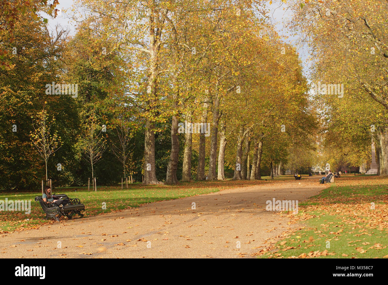 Young woman resting on a park bench in Kensington Gardens, London by a wide path between two avenues of trees with people on benches in the distancesi Stock Photo