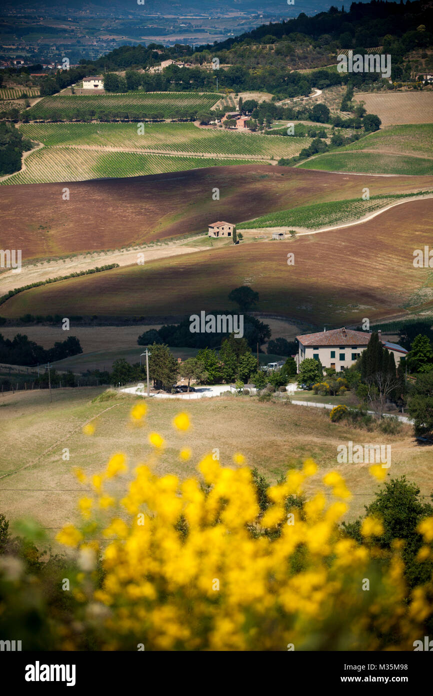Italy, Tuscany, the country of Siena district. Stock Photo