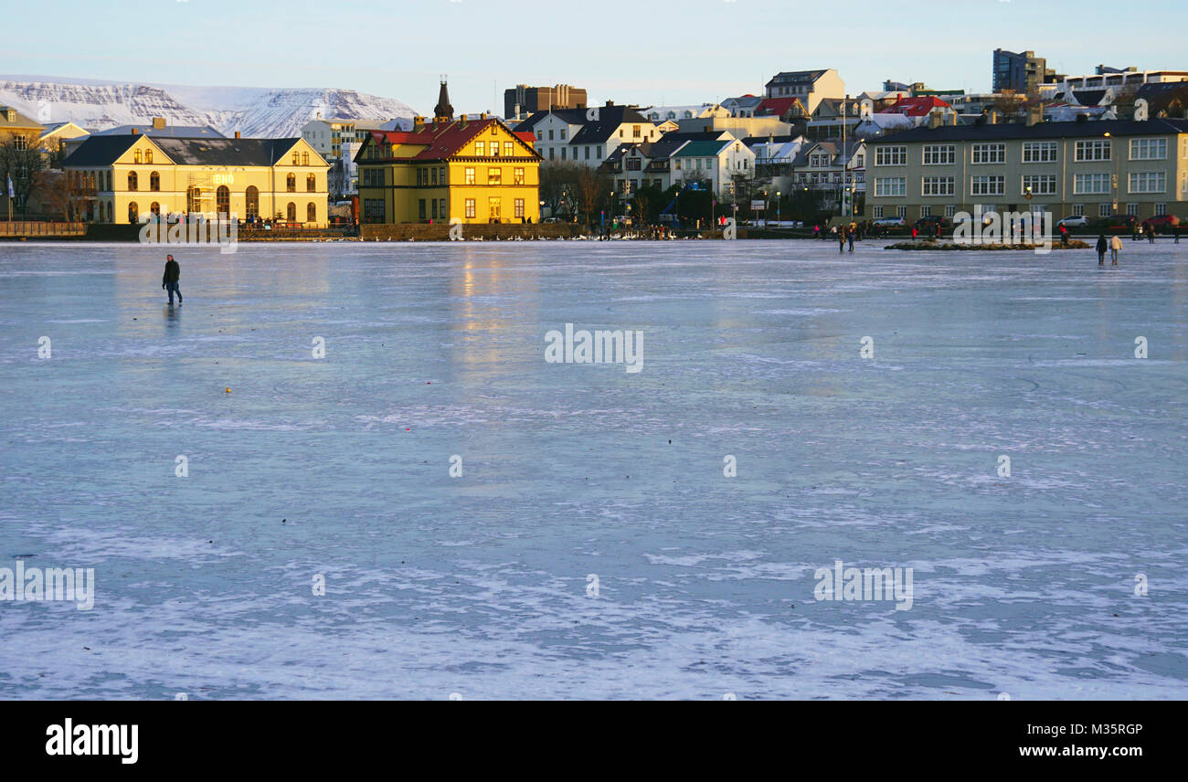 Residents feed the swans on the frozen Lake TJornin in Reykjarvik in the early morning in Winter. Iceland. Stock Photo