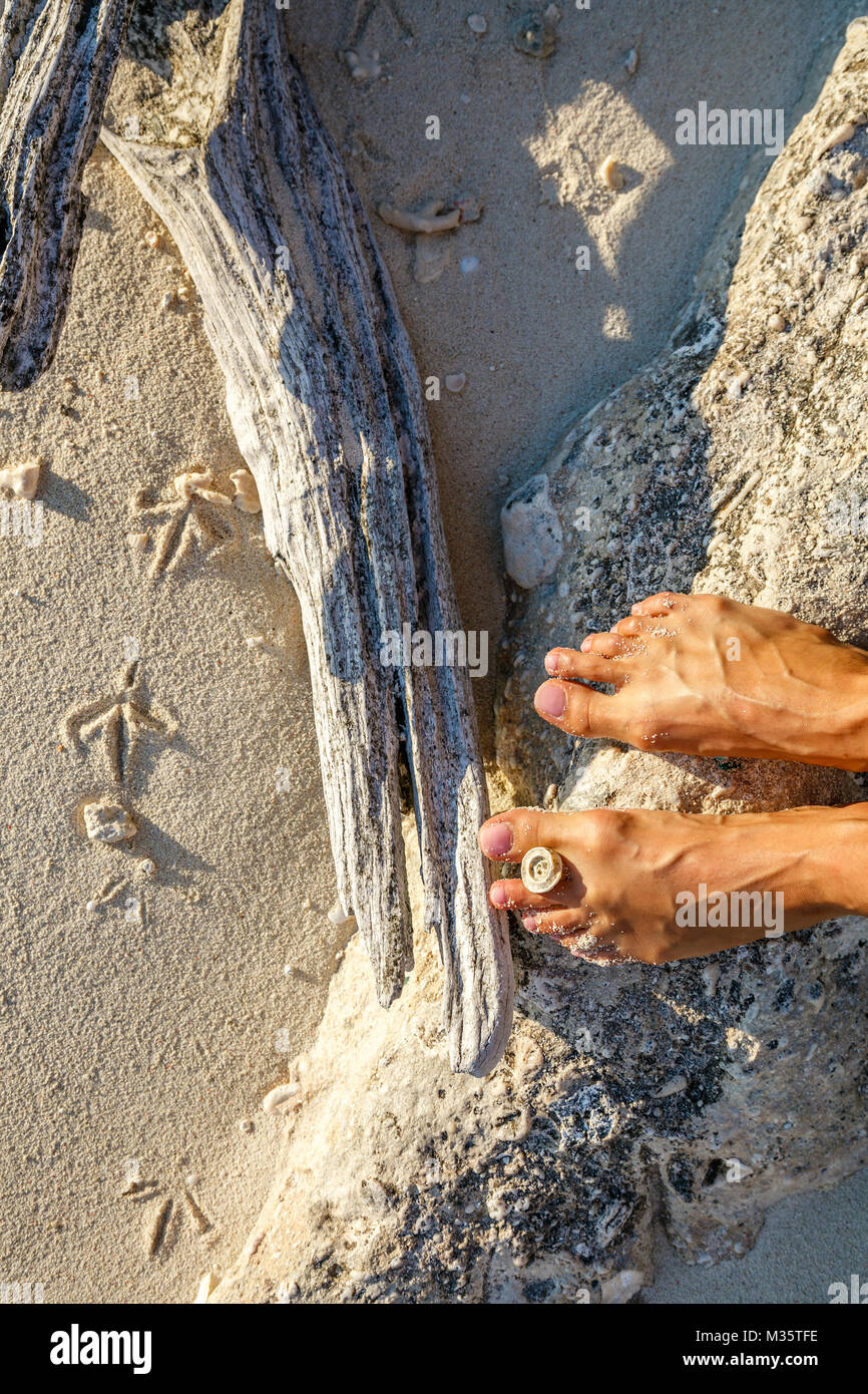 Girls feet on a rock next to bird tracks. Heron Island, Queensland ...