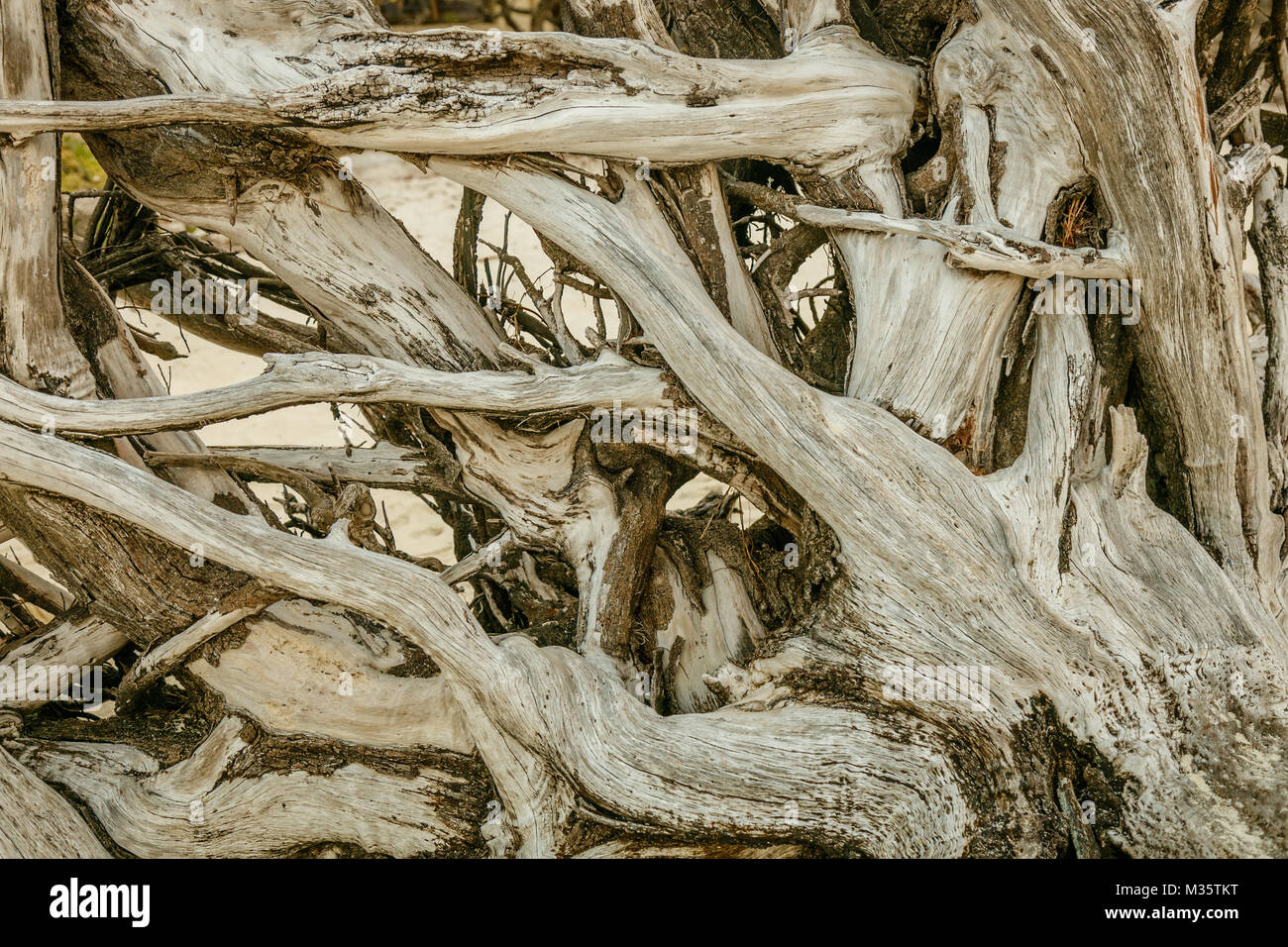 Drift wood texture hires stock photography and images Alamy