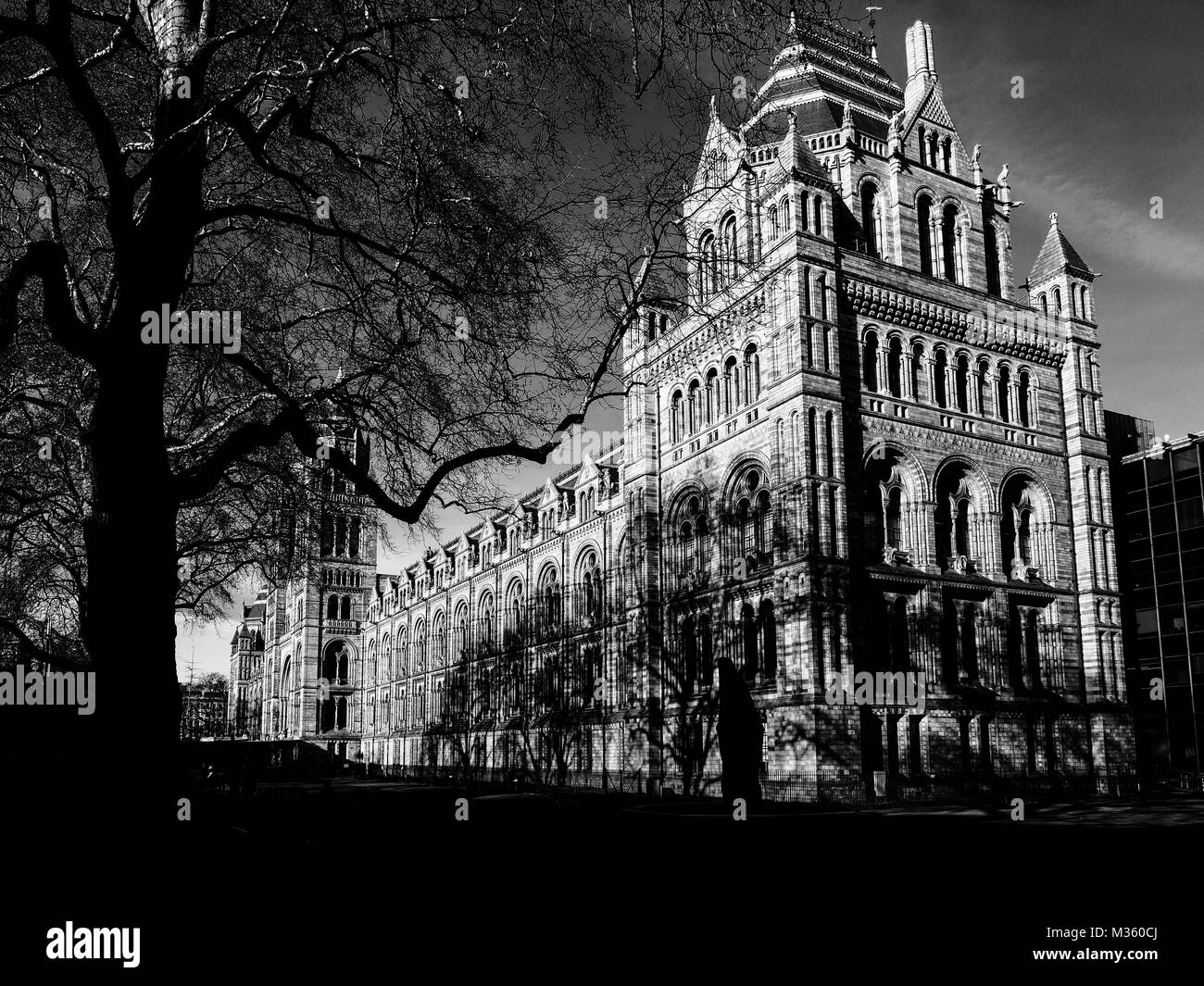 Natural History Museum Stock Photo Alamy