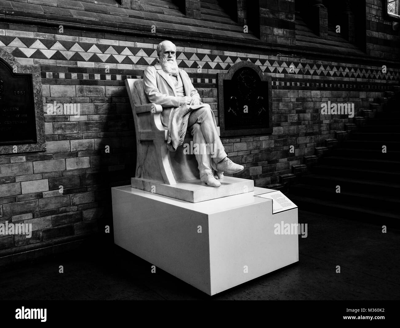 Natural History Museum Stock Photo - Alamy