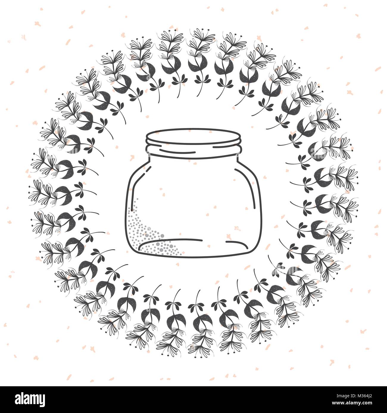 Rustic glass jar with leaves hand drawn Stock Vector Image & Art - Alamy