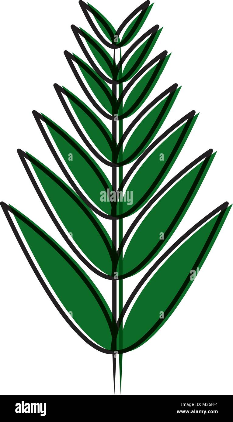 tree branch with green leaves plant natural Stock Vector Image & Art ...