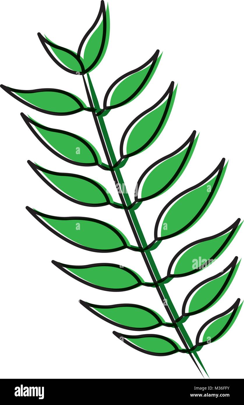 tree branch with green leaves plant natural Stock Vector Image & Art ...