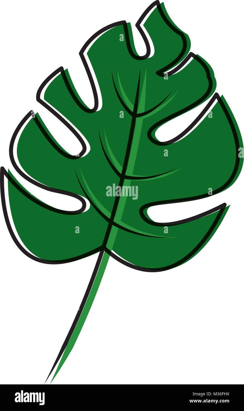 tropical leaf green season eco nature Stock Vector Image & Art Alamy