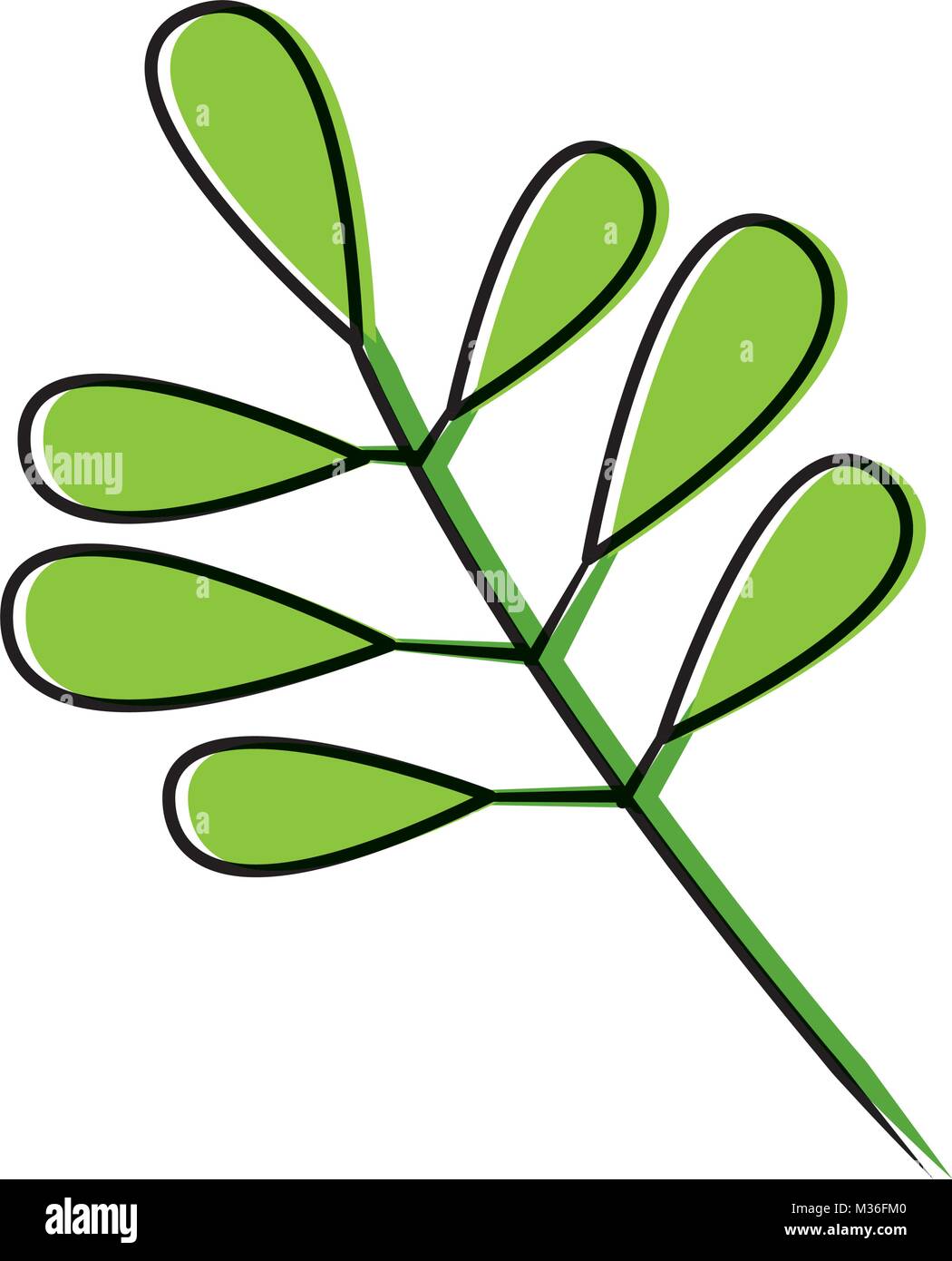 tree branch with green leaves plant natural Stock Vector Image & Art ...