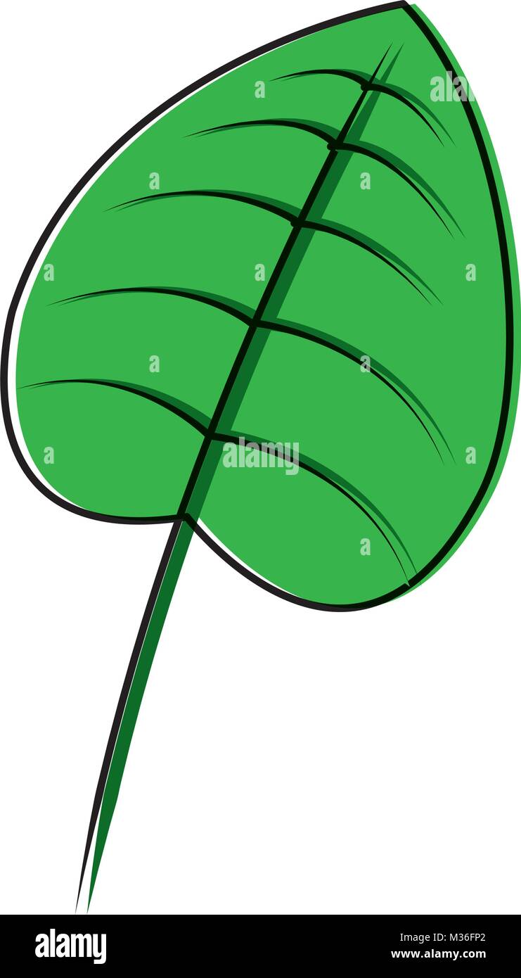 tropical leaf green season eco nature Stock Vector Image & Art Alamy