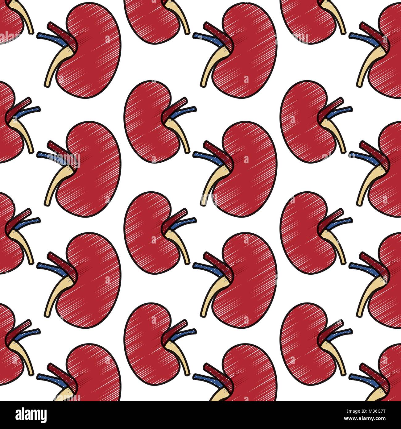 wallpaper with human kidney organs medical Stock Vector Image & Art - Alamy