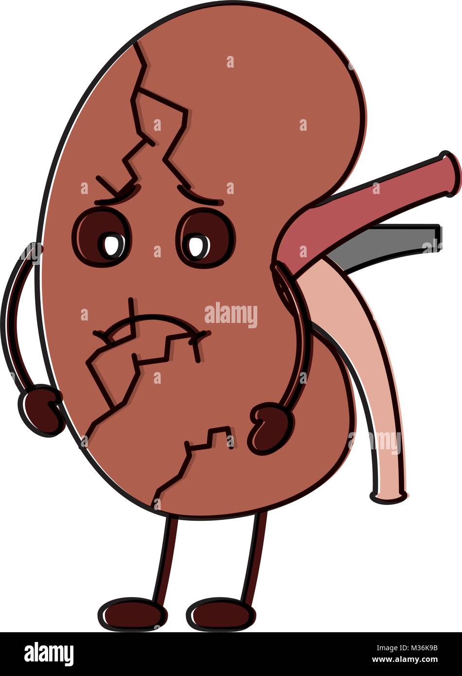 cartoon human kidney sick character Stock Vector Image & Art - Alamy