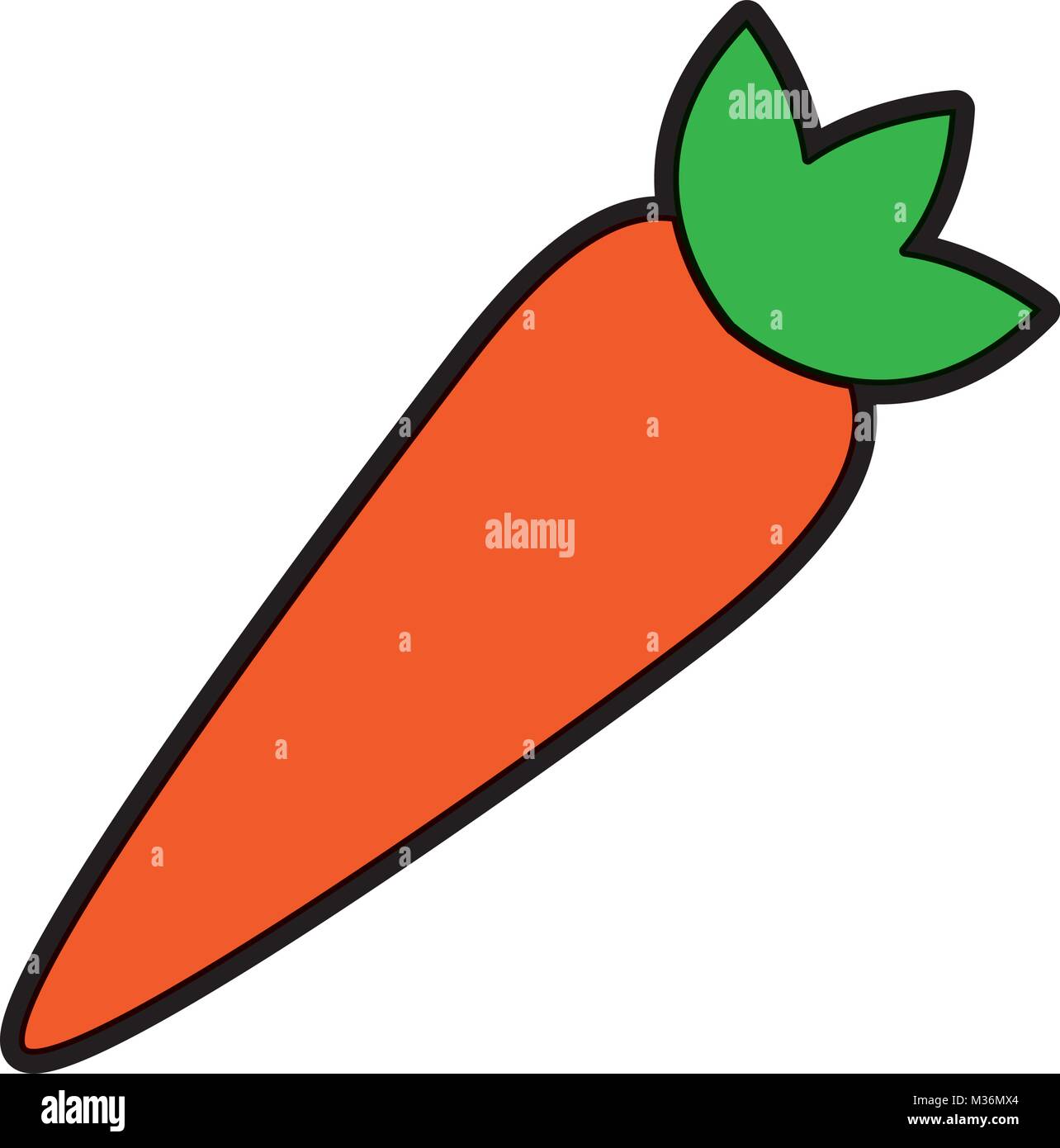 vegetable food healthy carrot fresh Stock Vector Image & Art Alamy