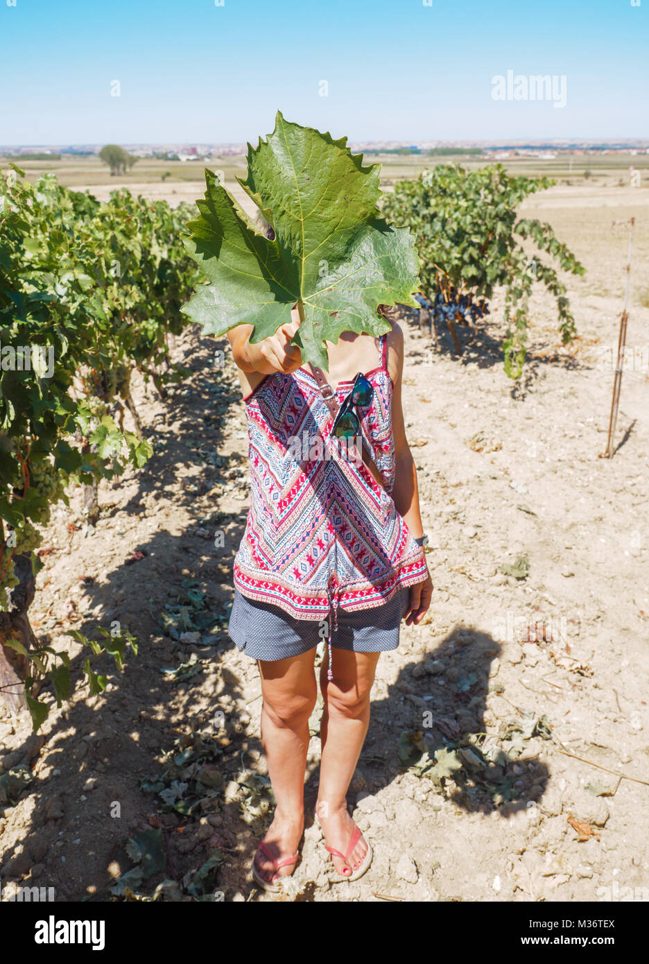 Woman Holding a vine leaf in Front of Her Face Stock Photo - Alamy