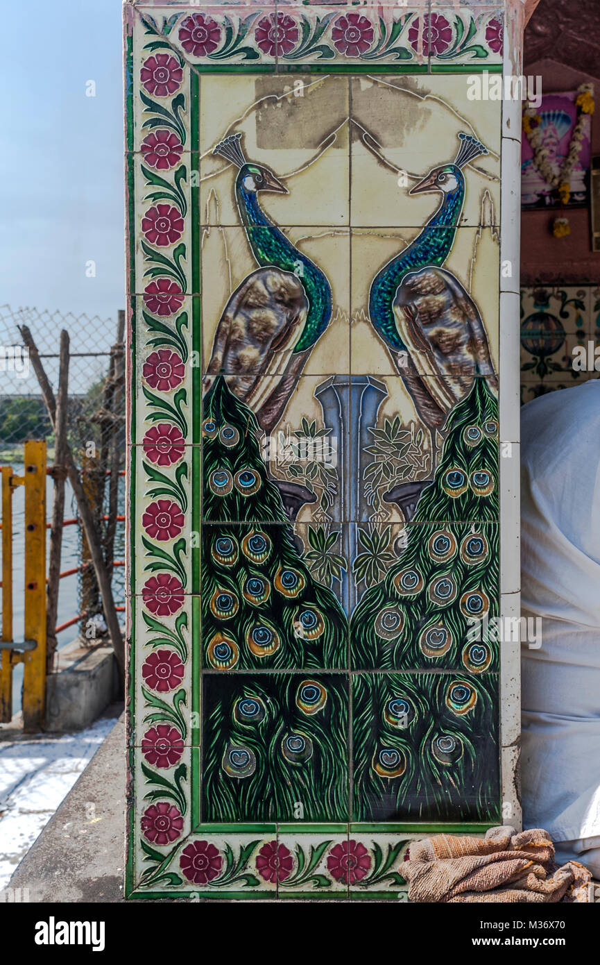 peacock on ceramic tiles, Siddheshwar Temple, Solapur, Maharashtra, India, Asia Stock Photo
