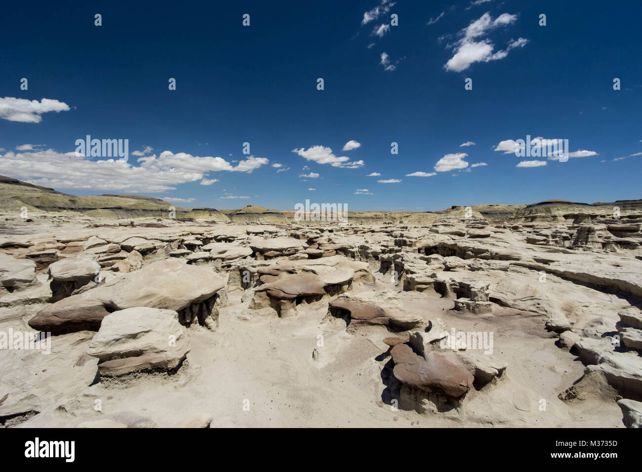 wild and remote desert landscape in the Bisti Wilderness Area in northwestern New Mexico near