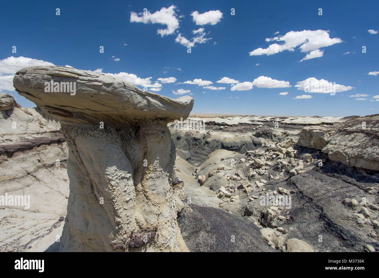wild and remote desert landscape in the Bisti Wilderness Area in northwestern New Mexico near 