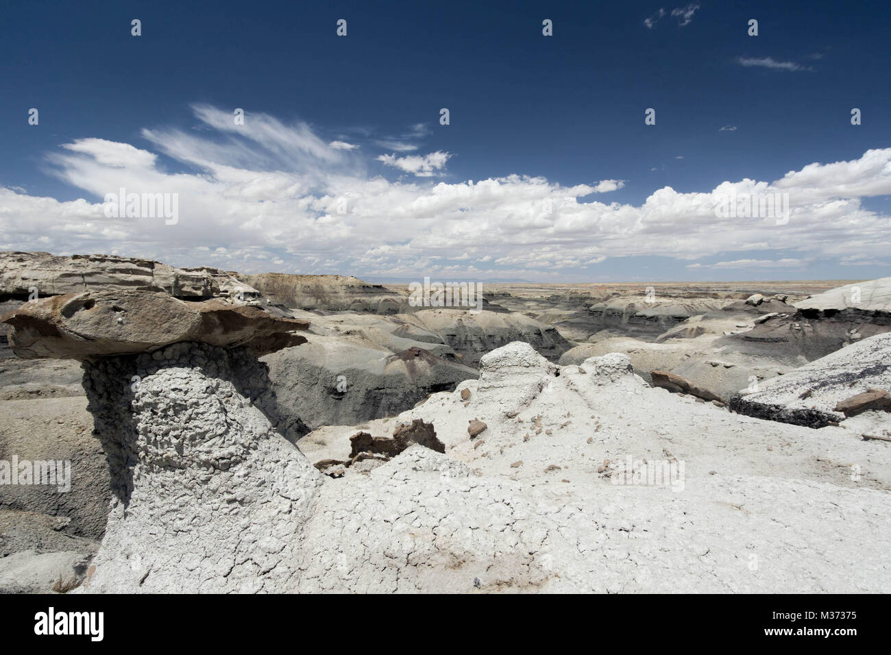 wild and remote desert landscape in the Bisti Wilderness Area in northwestern New Mexico near