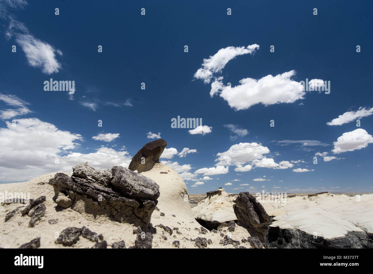 wild and remote desert landscape in the Bisti Wilderness Area in northwestern New Mexico near