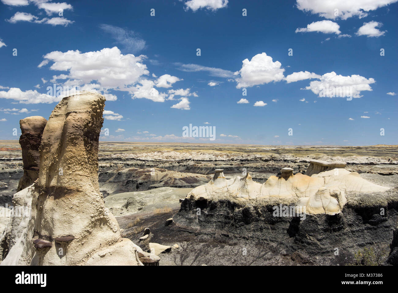wild and remote desert landscape in the Bisti Wilderness Area in northwestern New Mexico near 