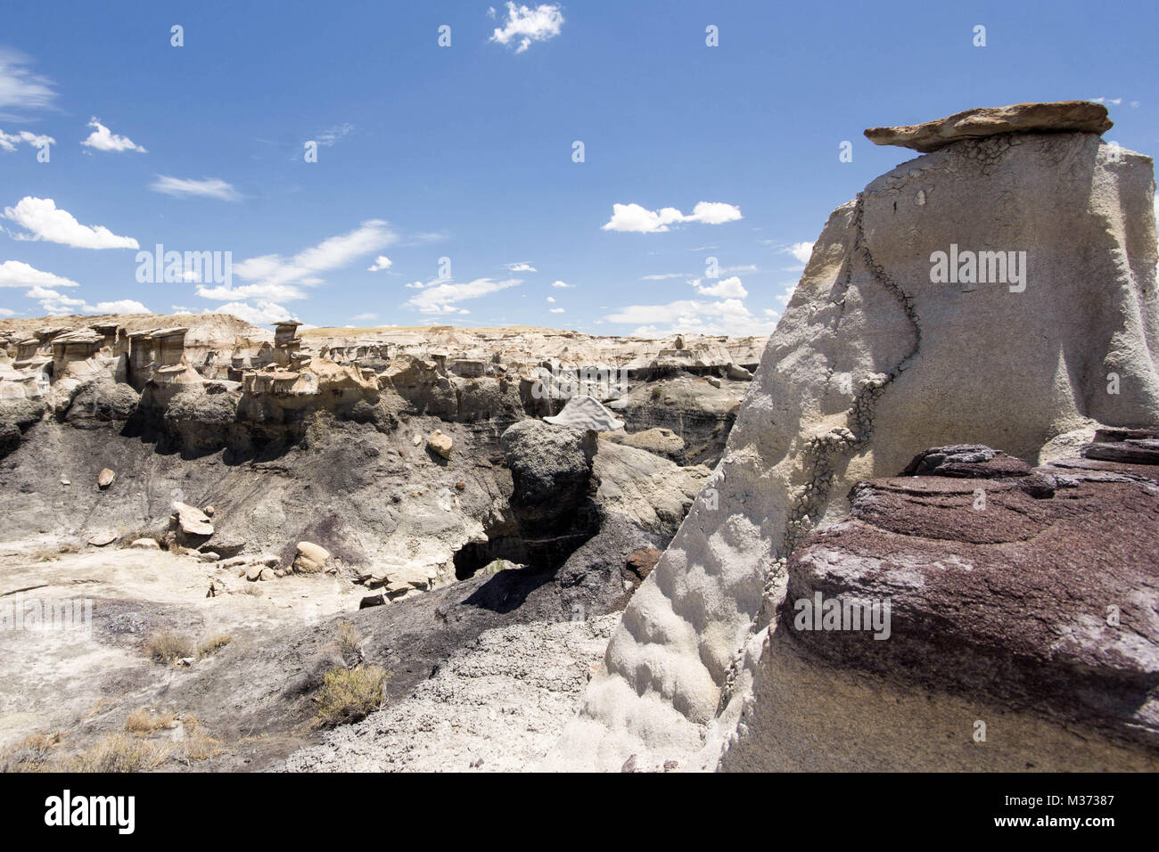 wild and remote desert landscape in the Bisti Wilderness Area in northwestern New Mexico near