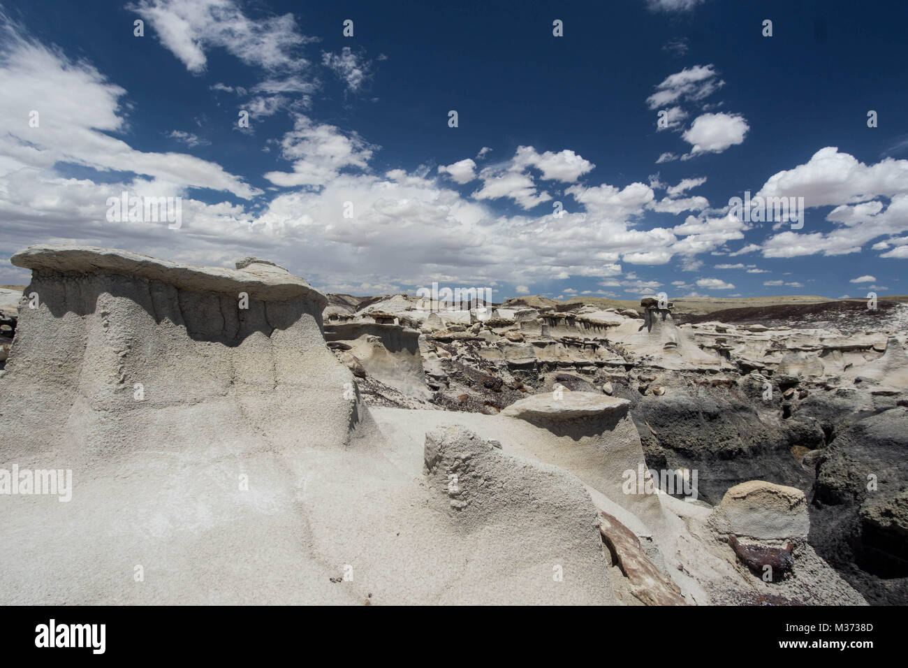 wild and remote desert landscape in the Bisti Wilderness Area in ...