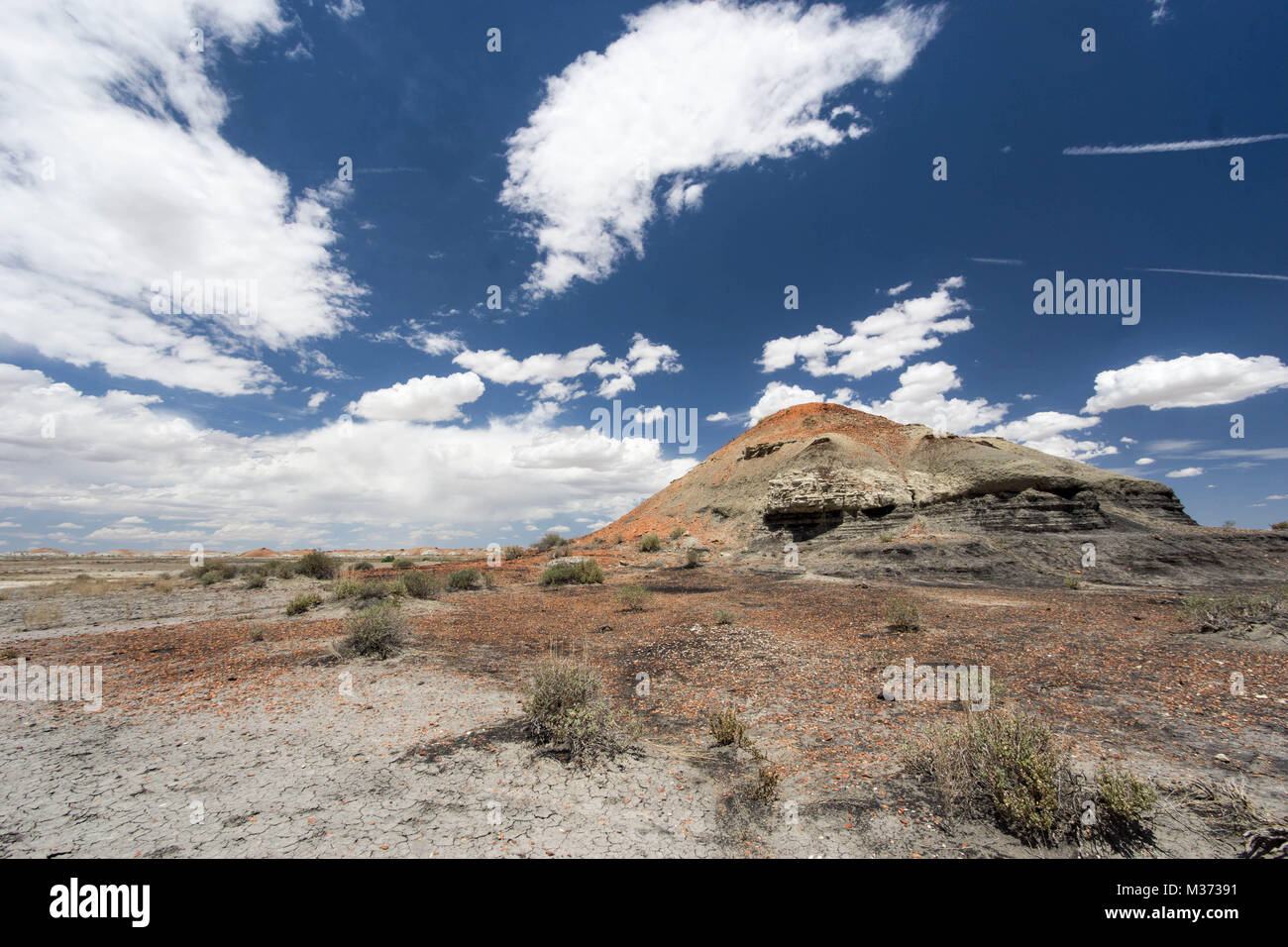 wild and remote desert landscape in the Bisti Wilderness Area in northwestern New Mexico near