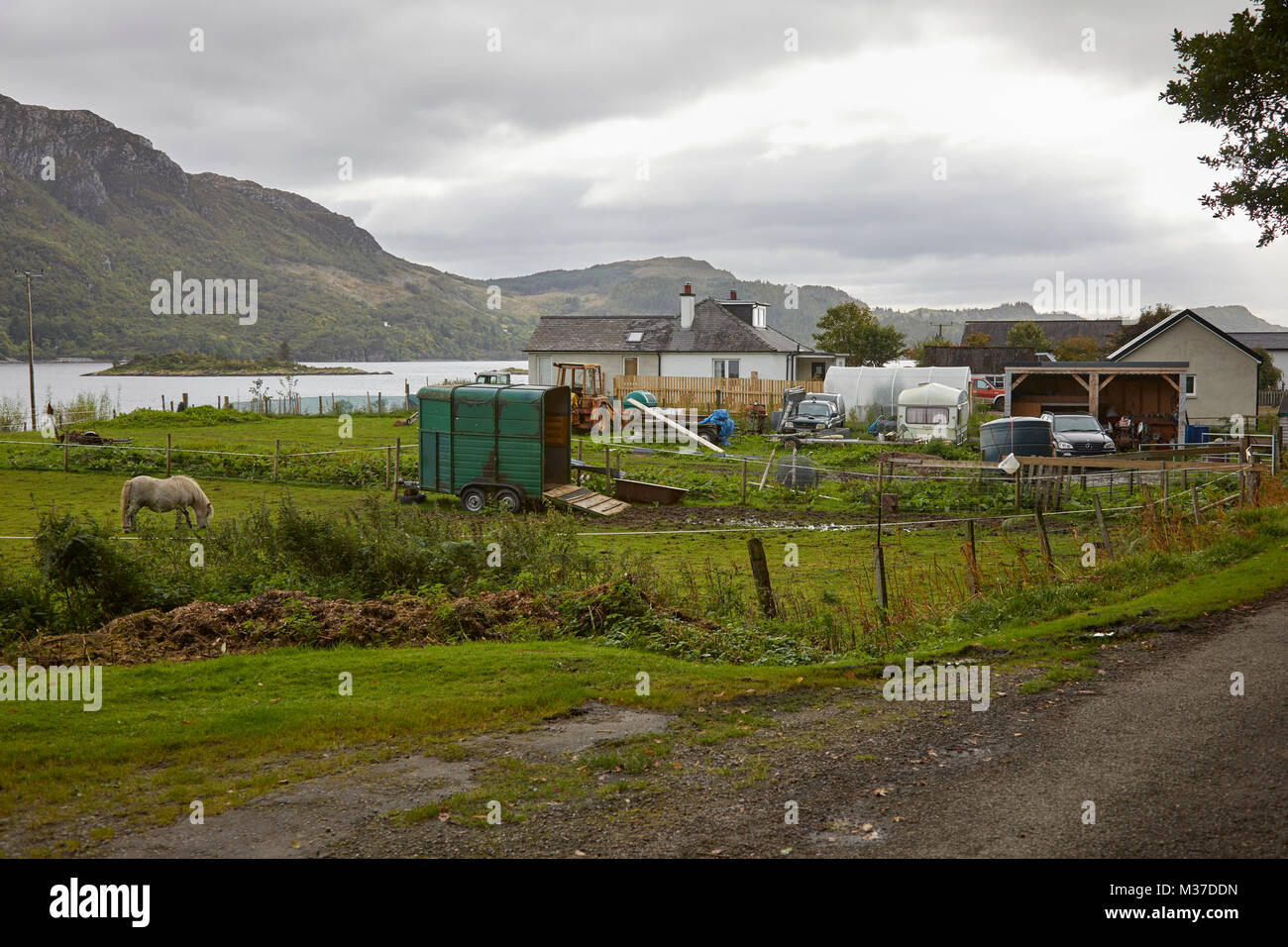 Small holding and horse grazing on land on shores of Loch Carron. Ardaneaskan Stock Photo