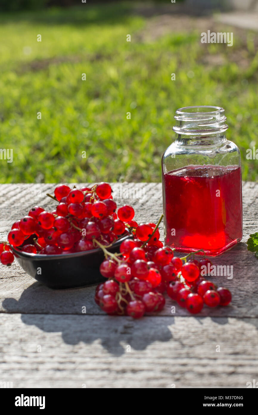 Jar Of Red Currant Jelly And Fresh Berries Garden Stock Photo