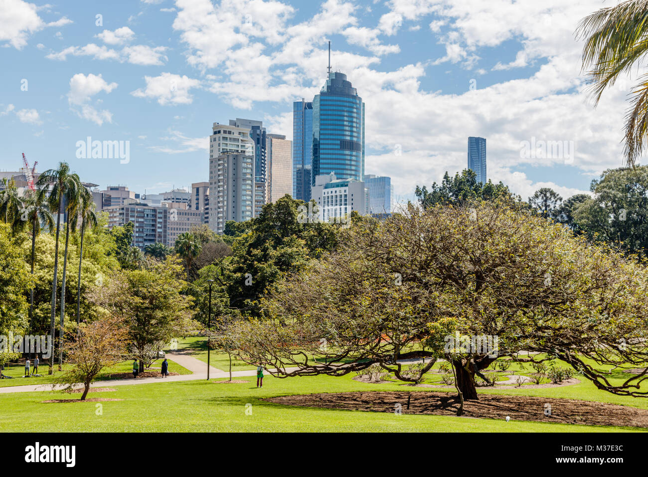 Brisbane city botanic gardens hires stock photography and images Alamy