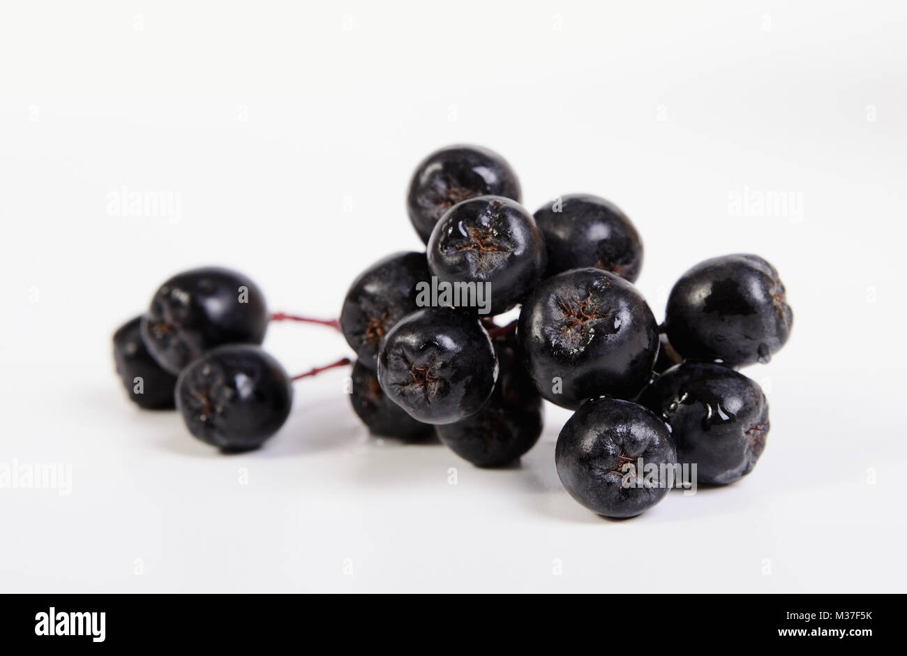 Fruits chokeberry on white background Stock Photo