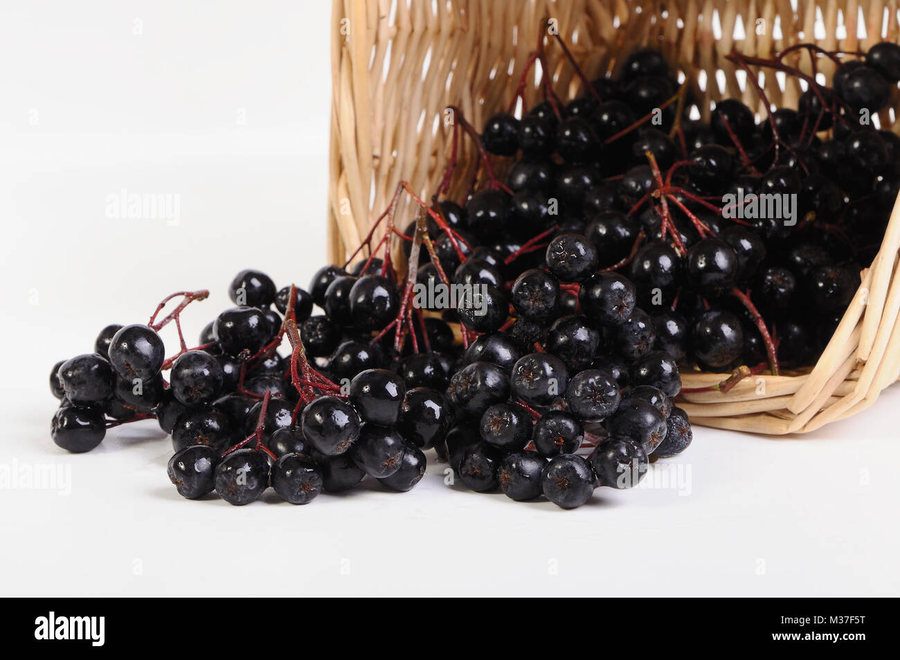 Fruits chokeberry in the basket on a white background Stock Photo