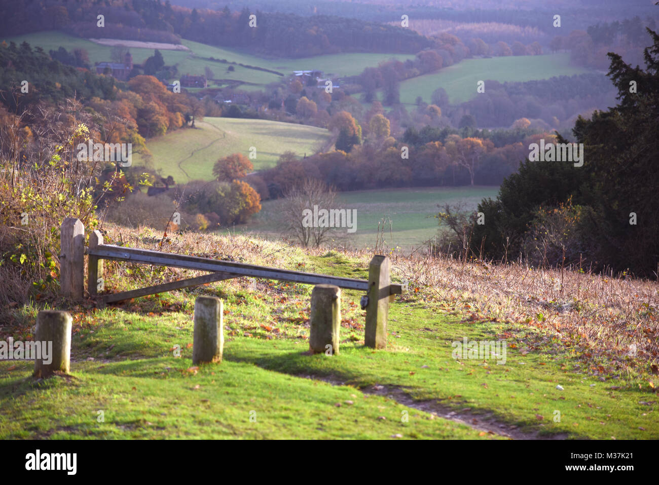 Newlands corner near Guildford Surrey Stock Photo Alamy